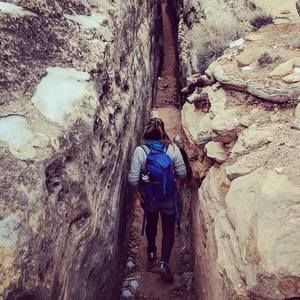 Meet your Posher, Caroline